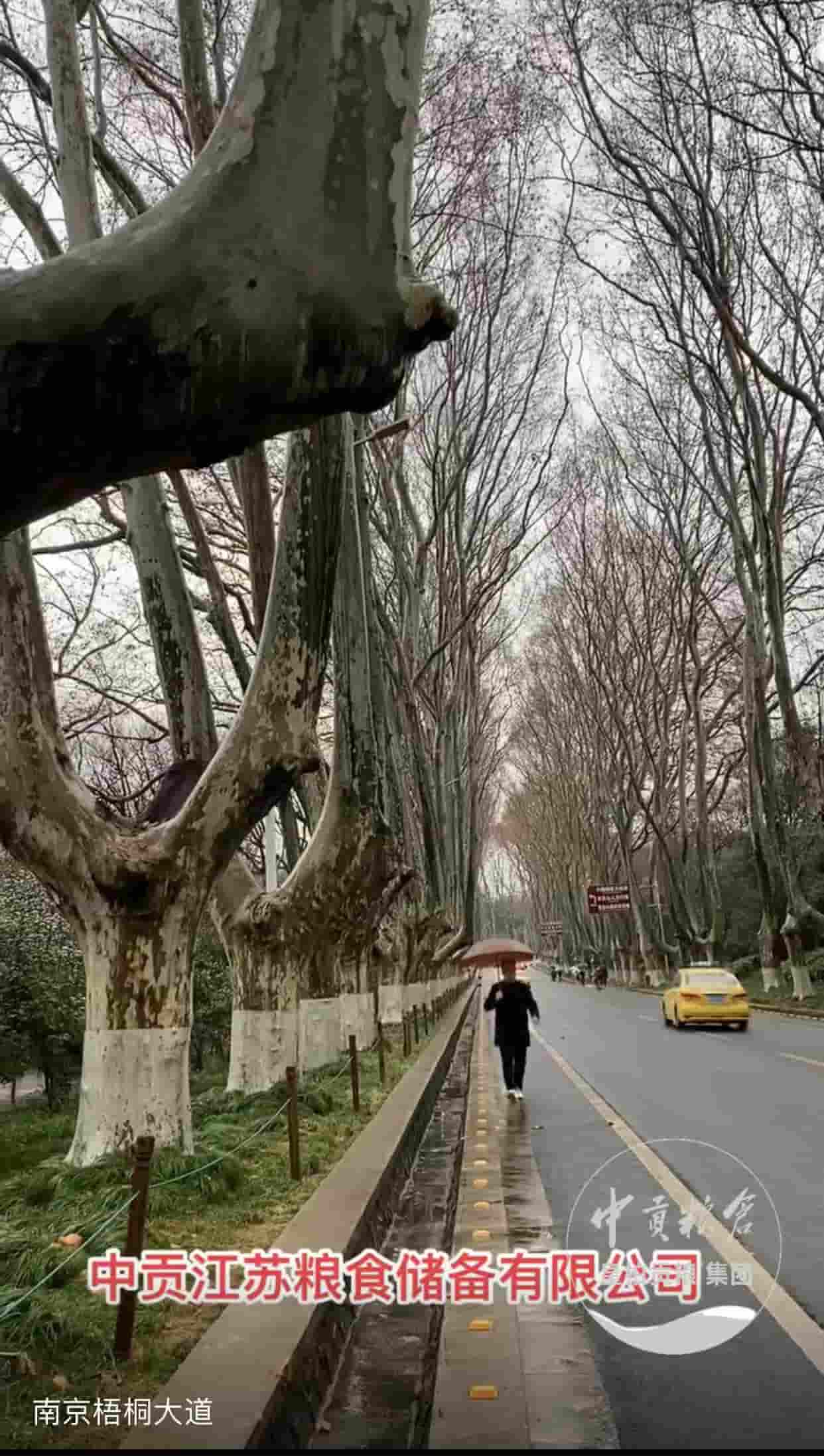 微信图片_202504132057362.jpg