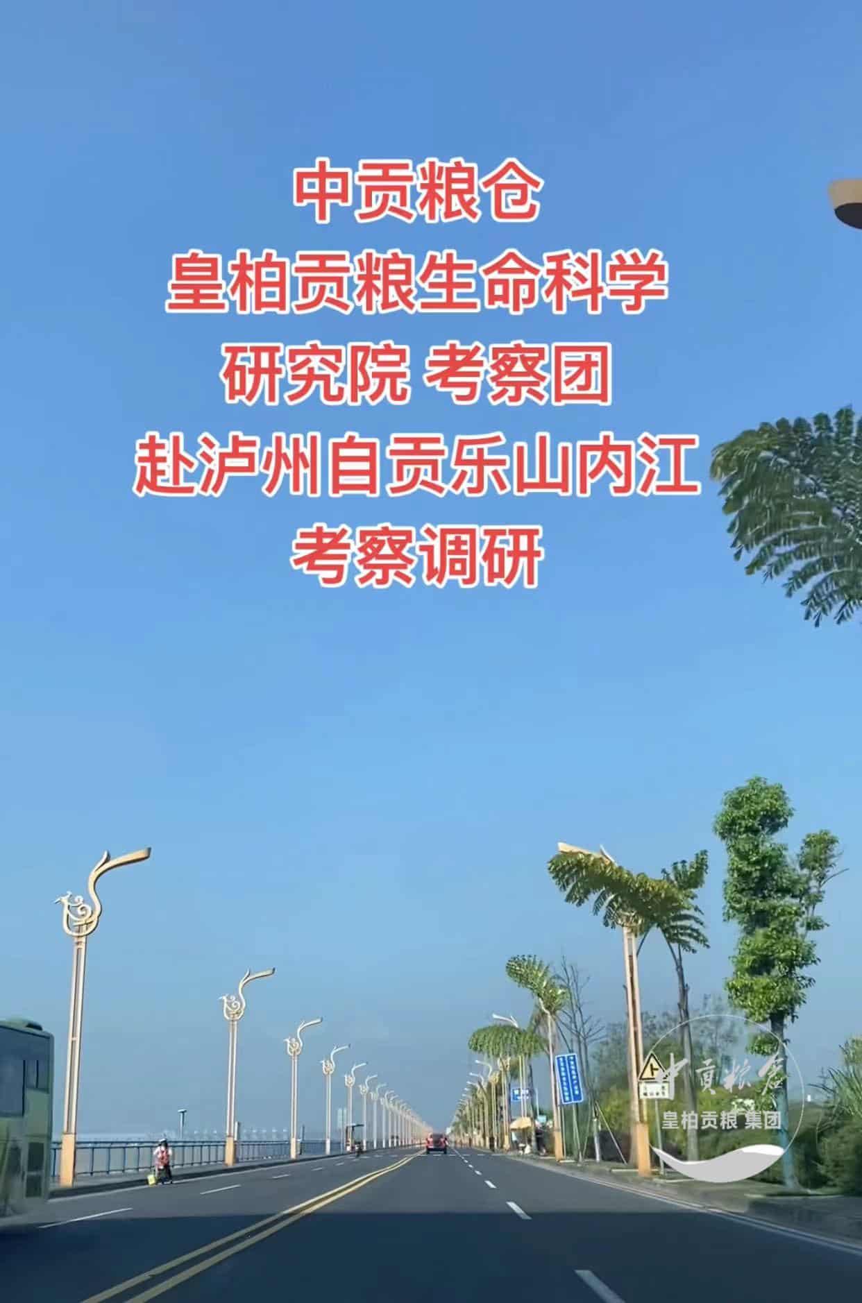 微信图片_202505111544282.jpg