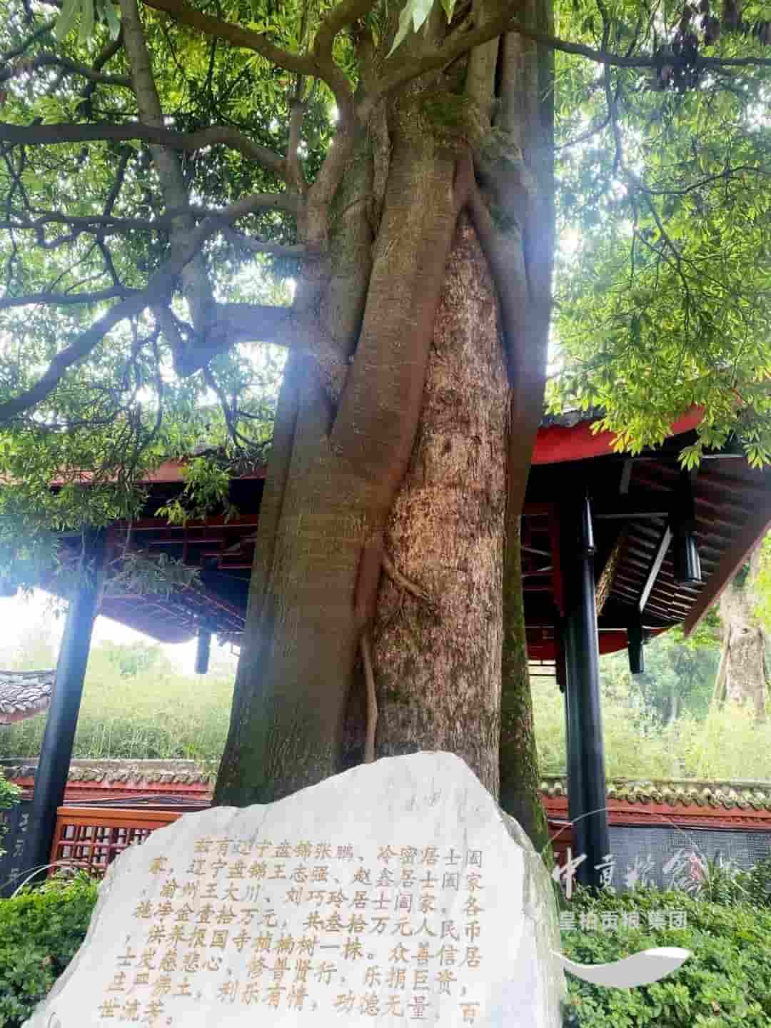 微信图片_20250511204625.jpg