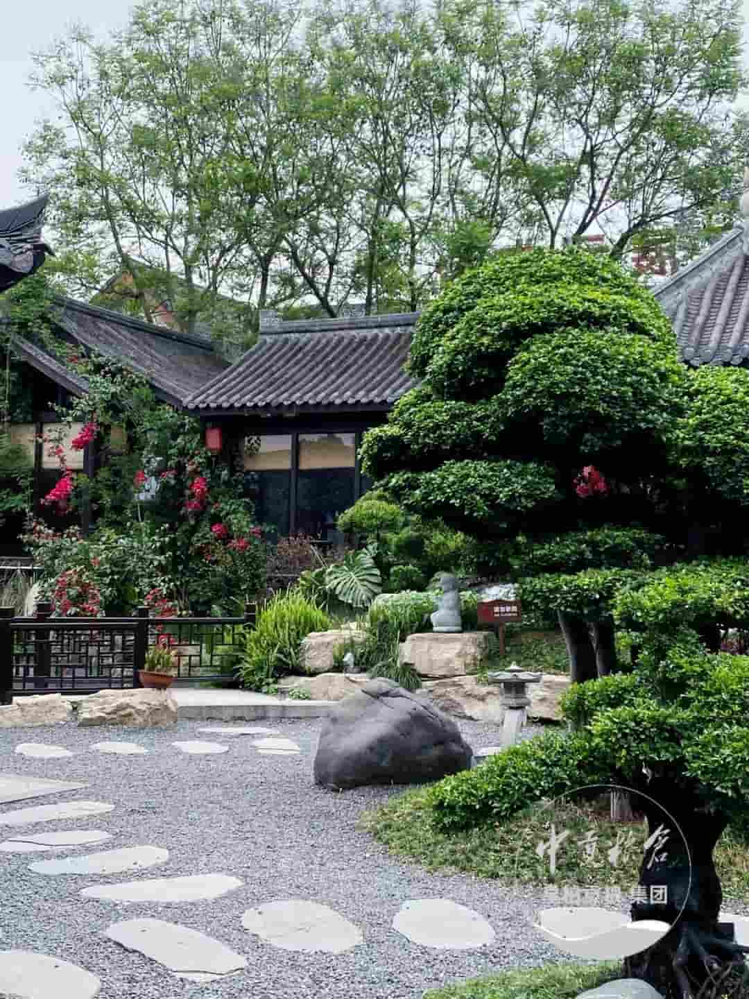 微信图片_202505112046251.jpg