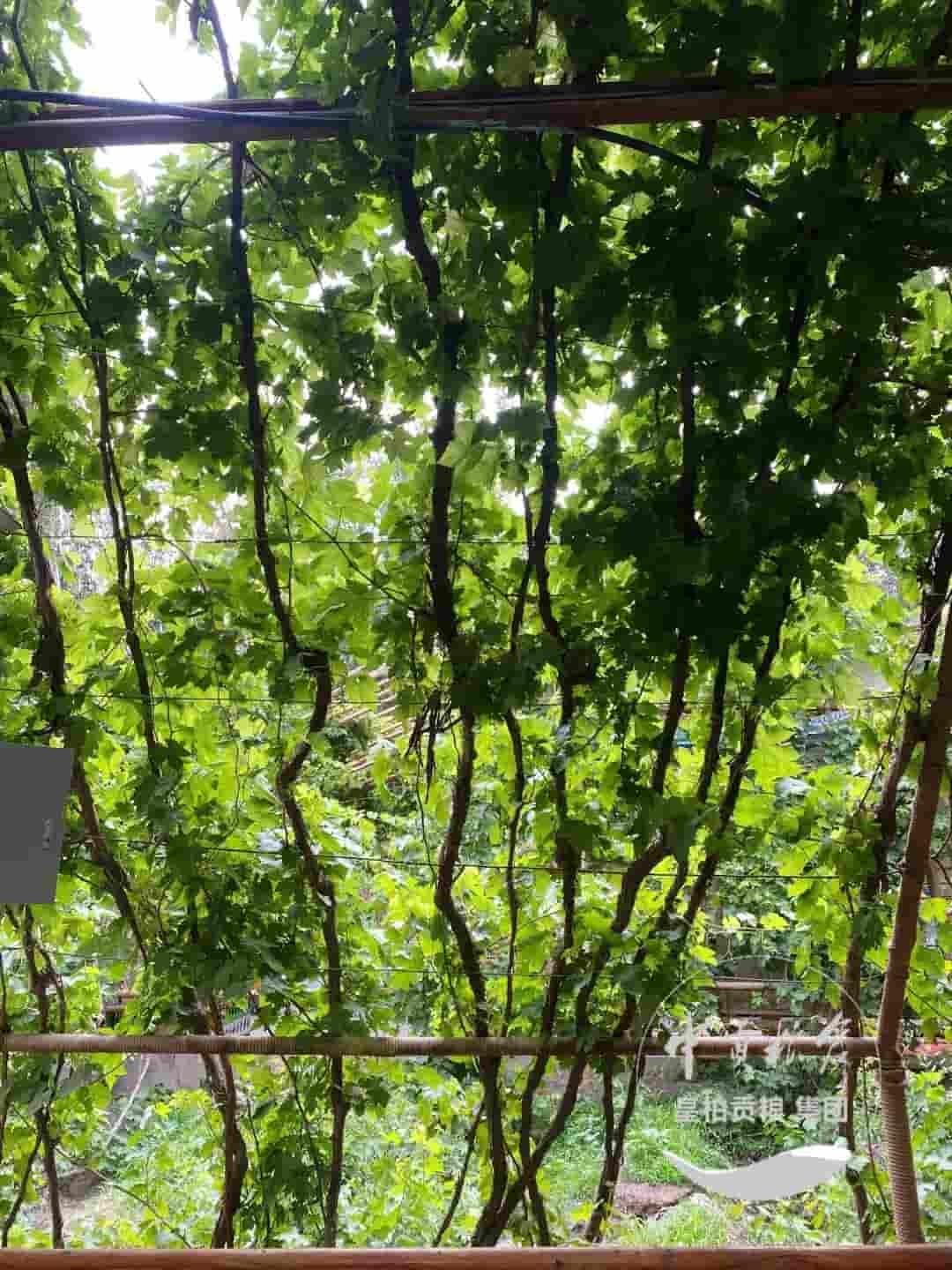 微信图片_20250521224323.jpg