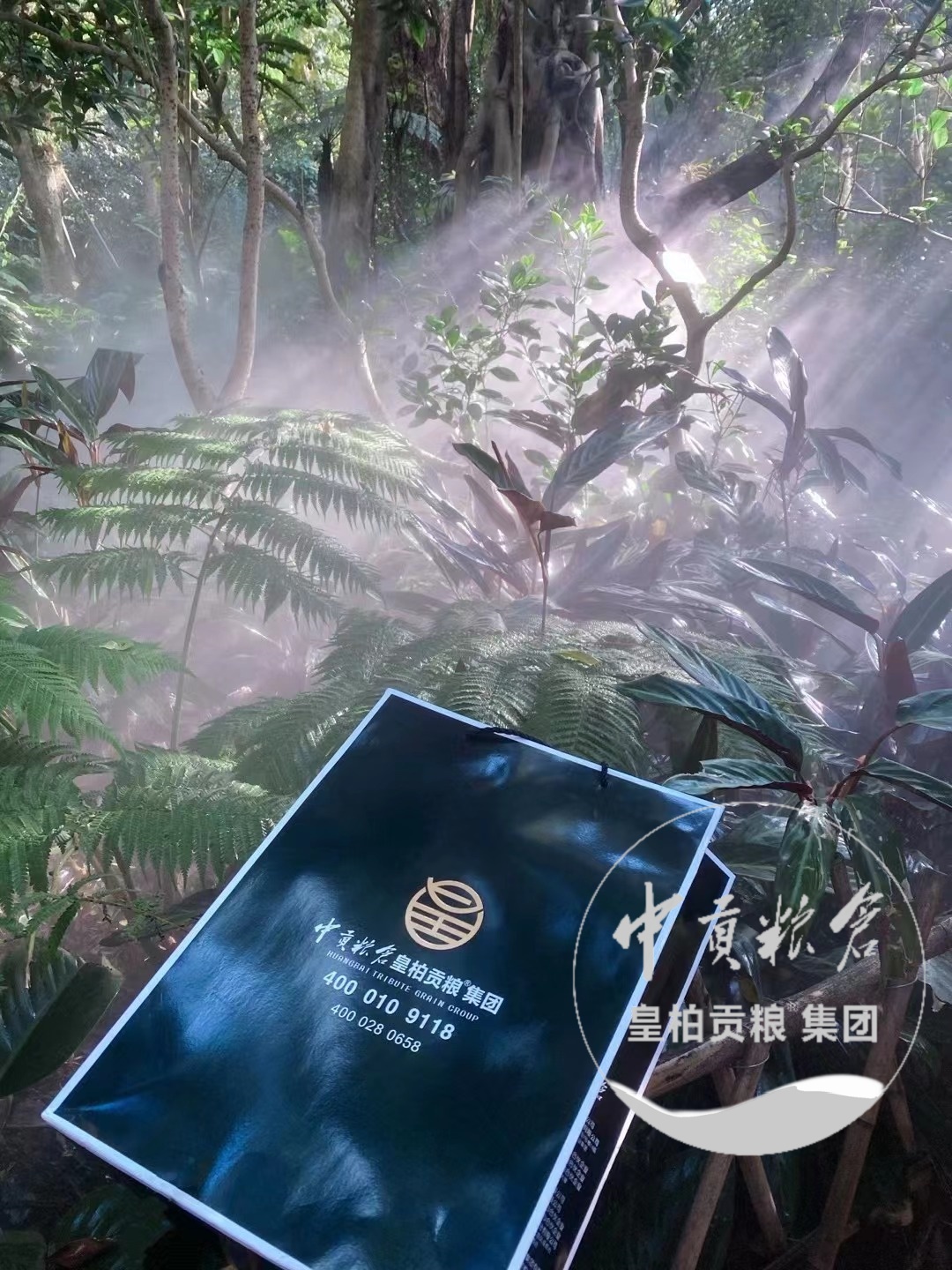 微信图片_202504132044011.jpg