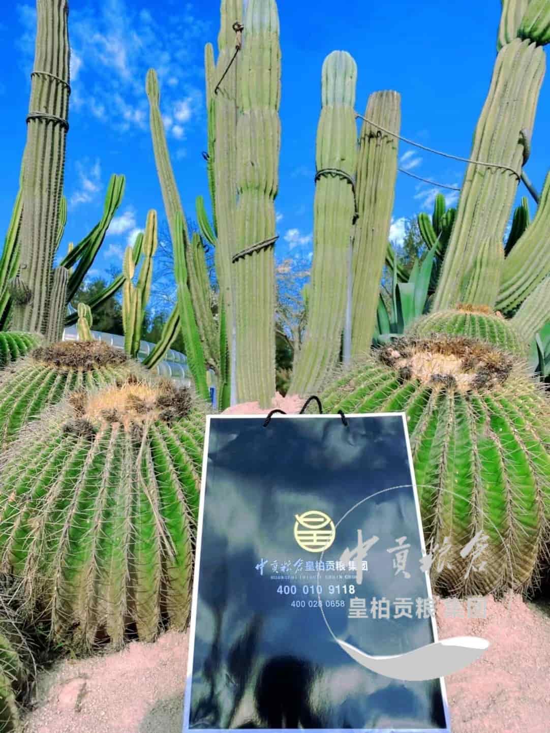 微信图片_202504132044013.jpg