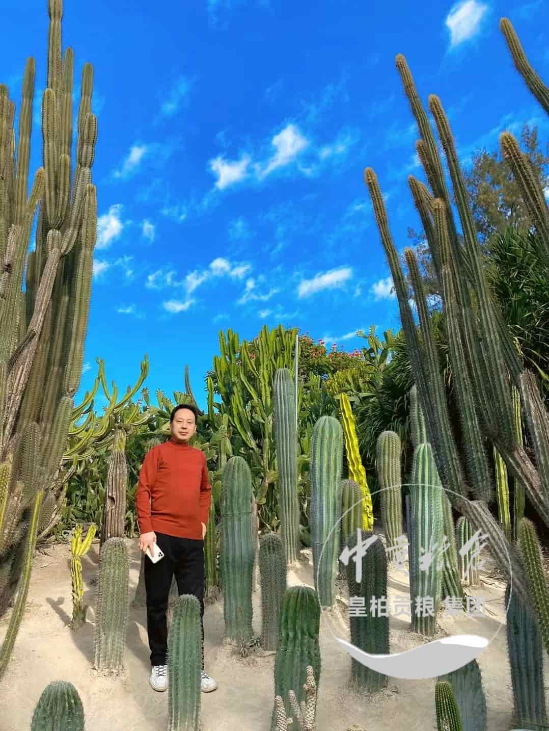 微信图片_202504132044021.jpg