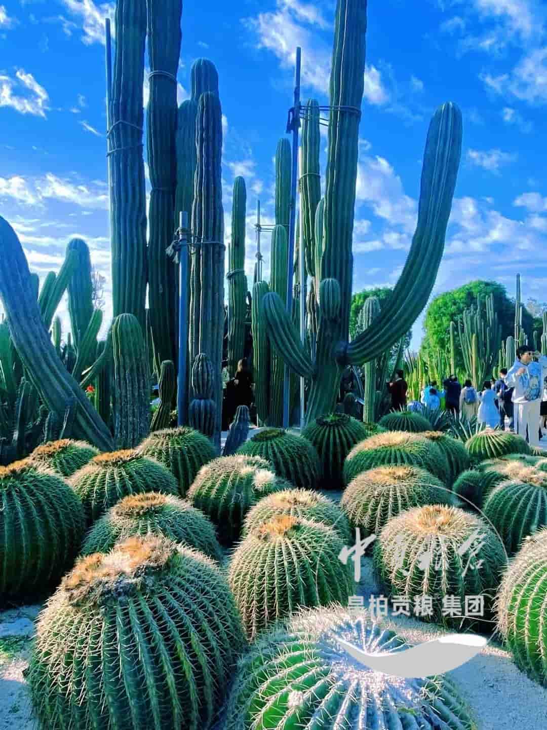 微信图片_202504132044022.jpg