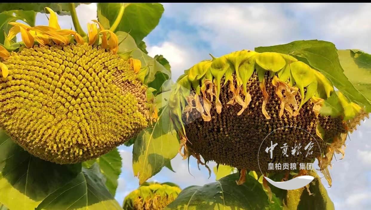 微信图片_202504131839141.jpg