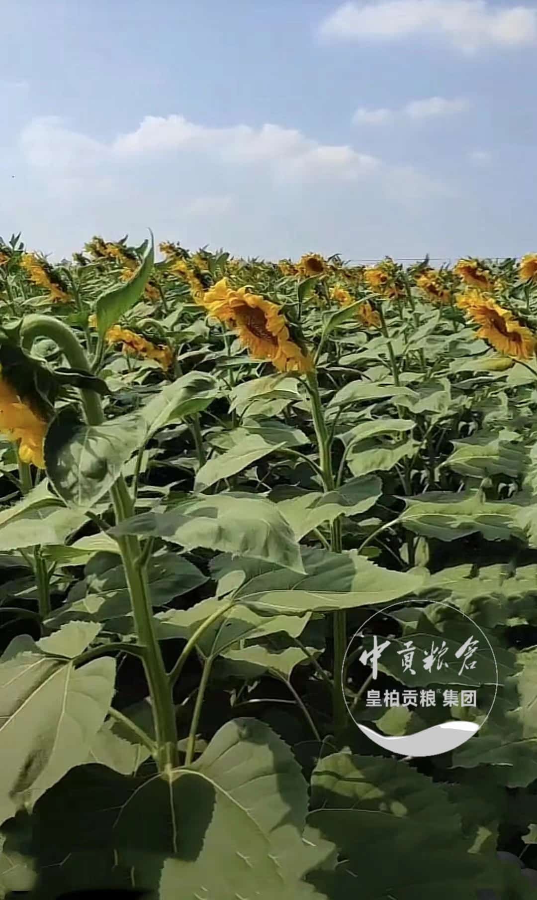微信图片_20250413183913.jpg