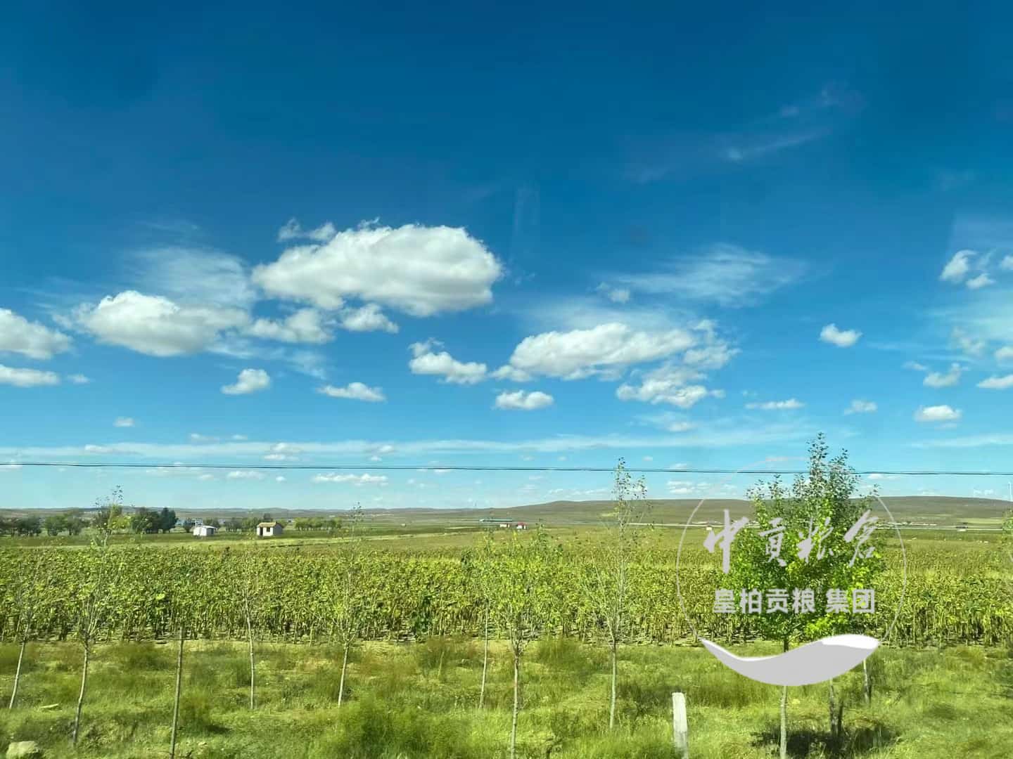 微信图片_20250413183909.jpg
