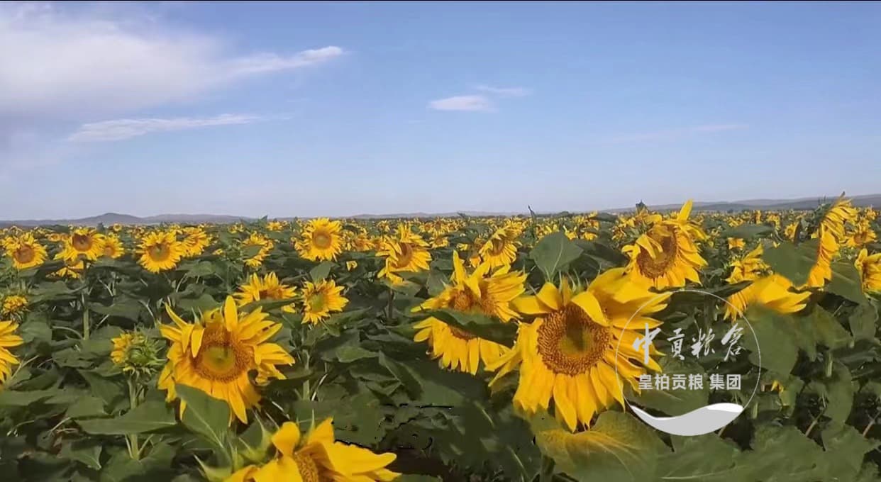 微信图片_202504131839131.jpg