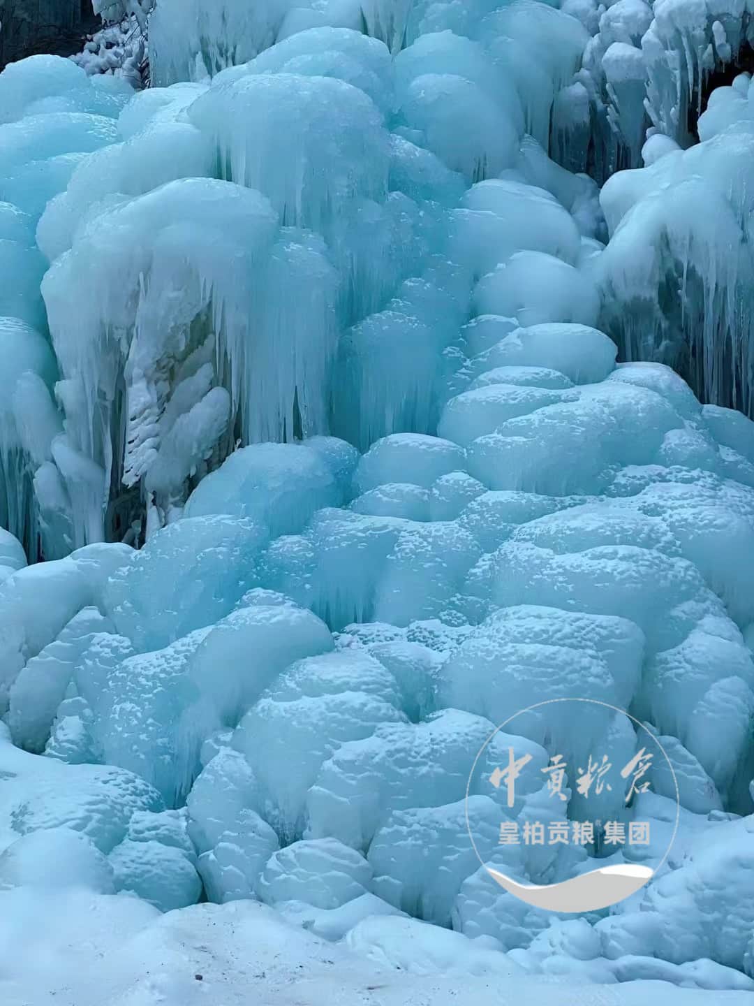 微信图片_202506040821454.jpg