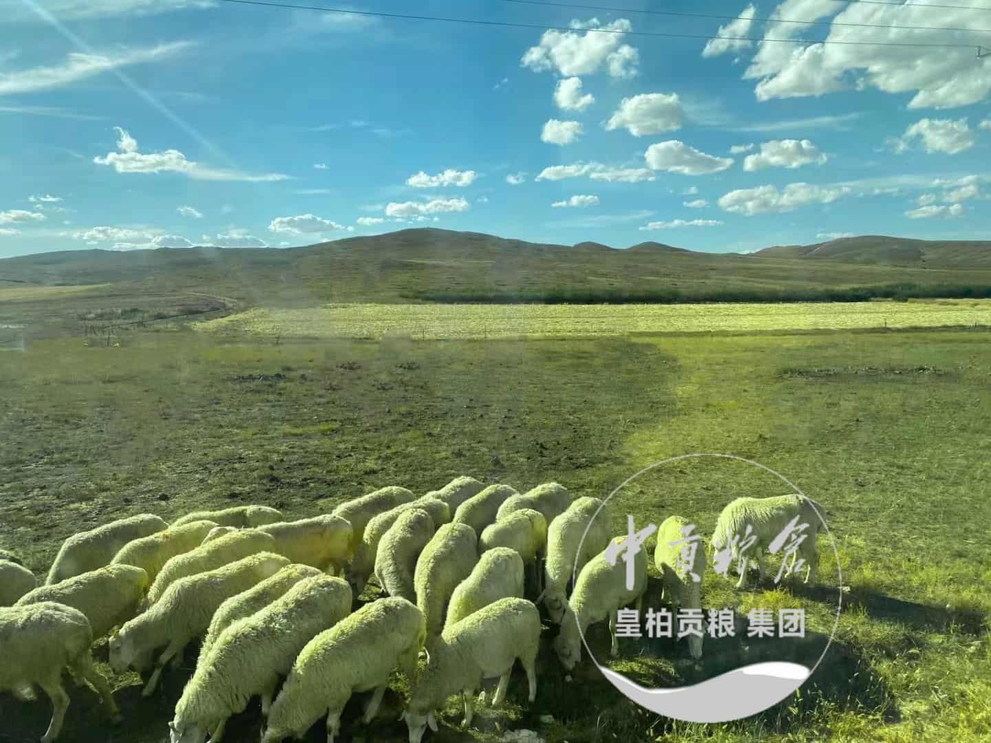微信图片_20250413183908.jpg