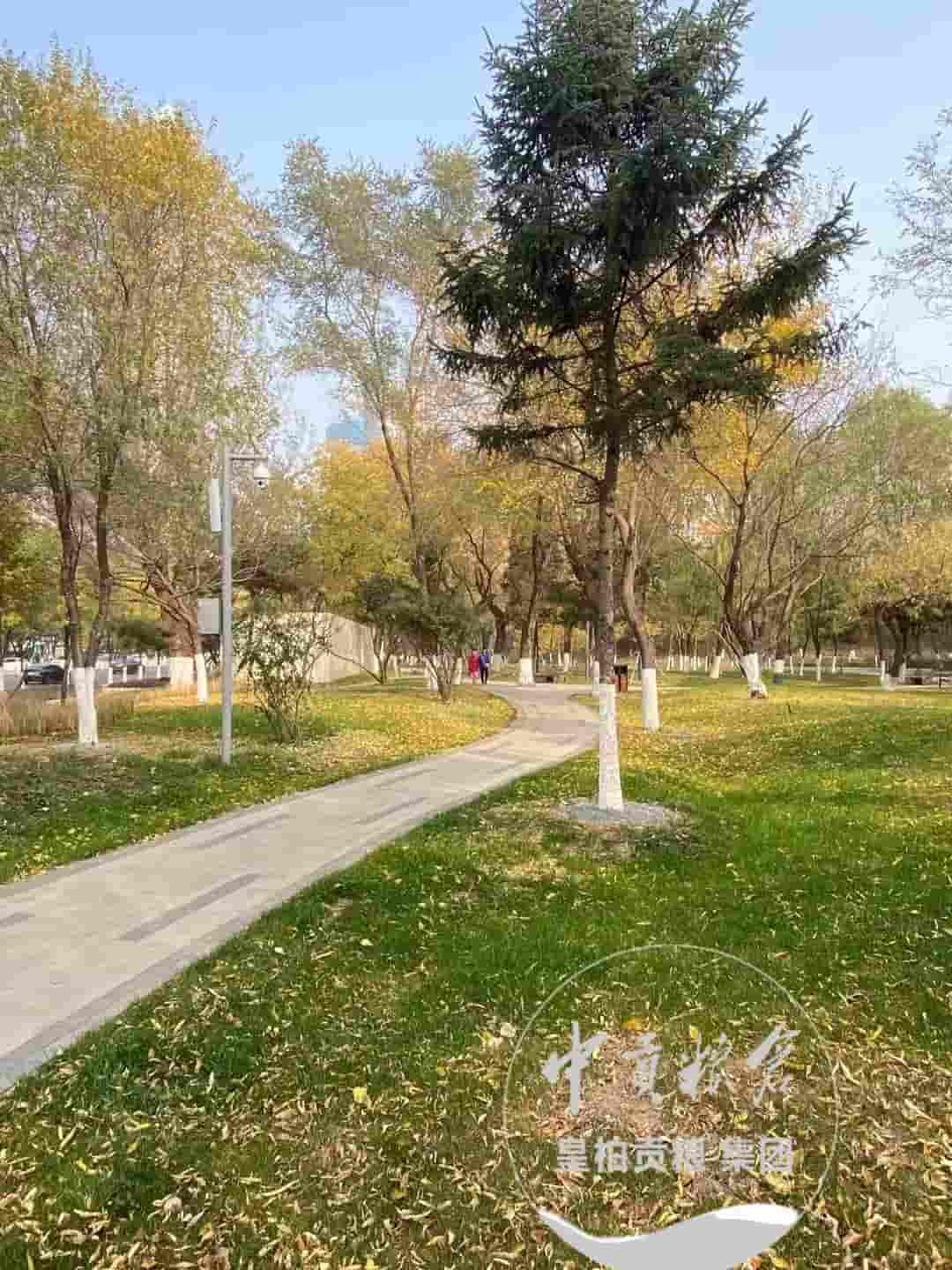 微信图片_20250413204225.jpg