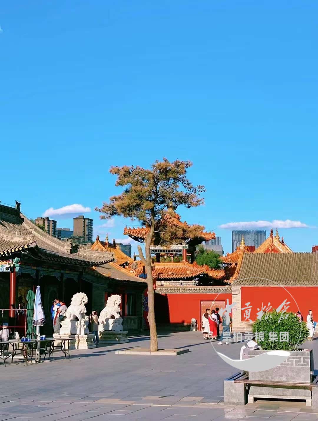 微信图片_202504131838231.jpg