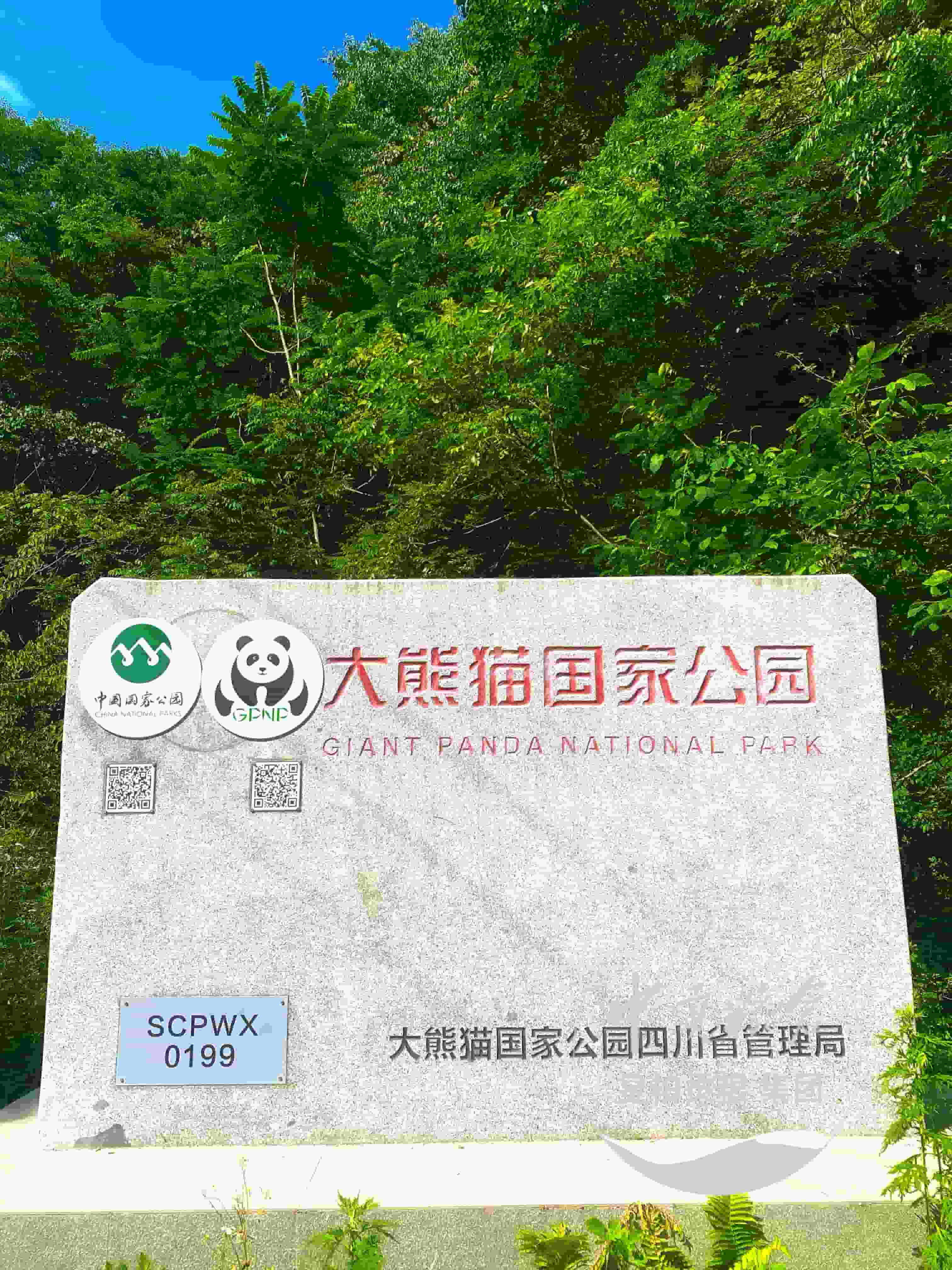 微信图片_20250616155301.jpg