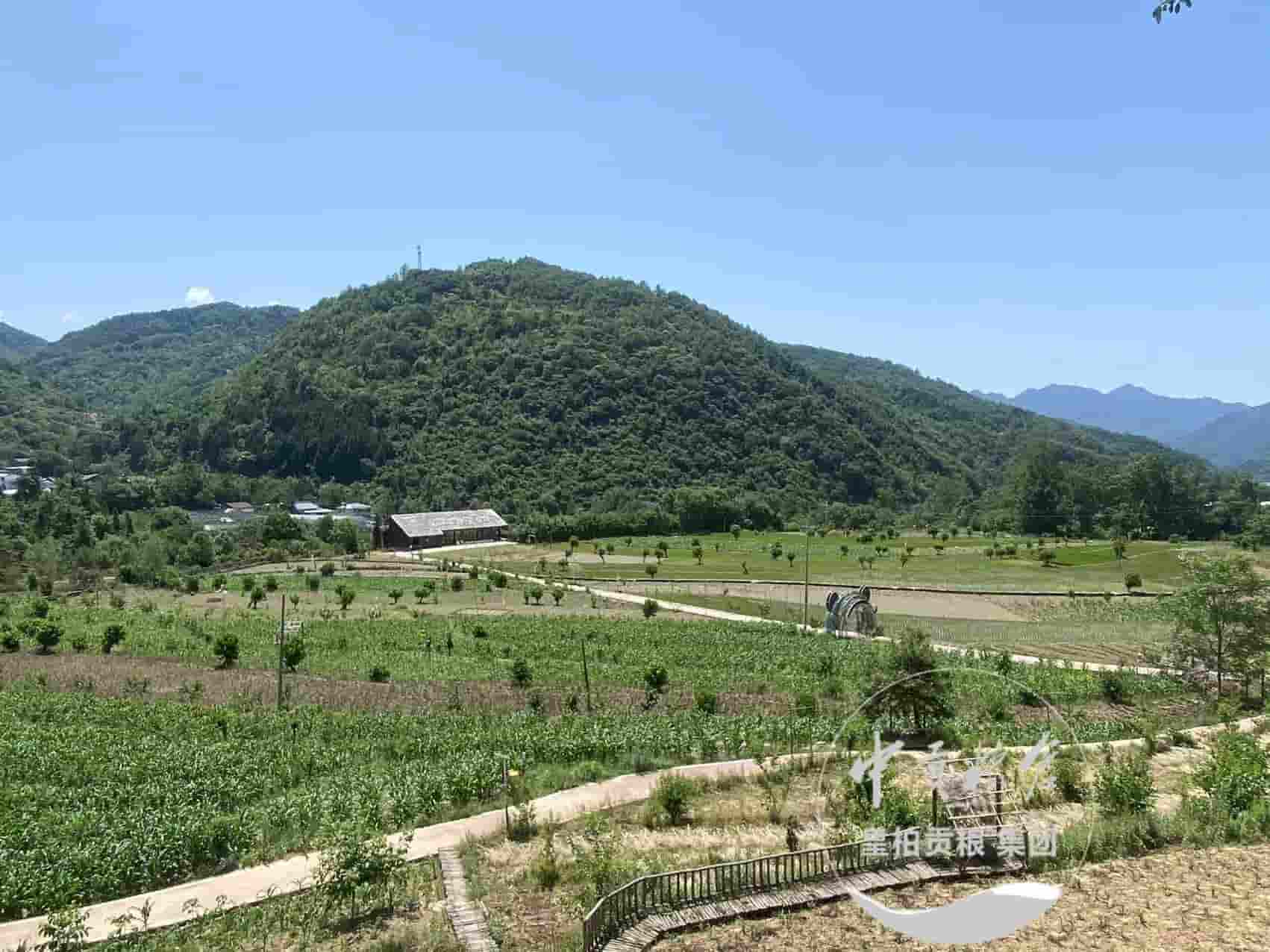 微信图片_202506161650441.jpg