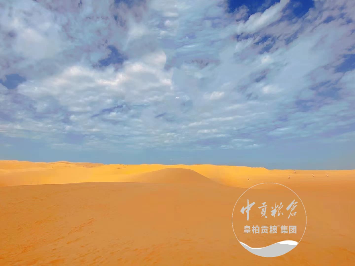 微信图片_20250413183923.jpg