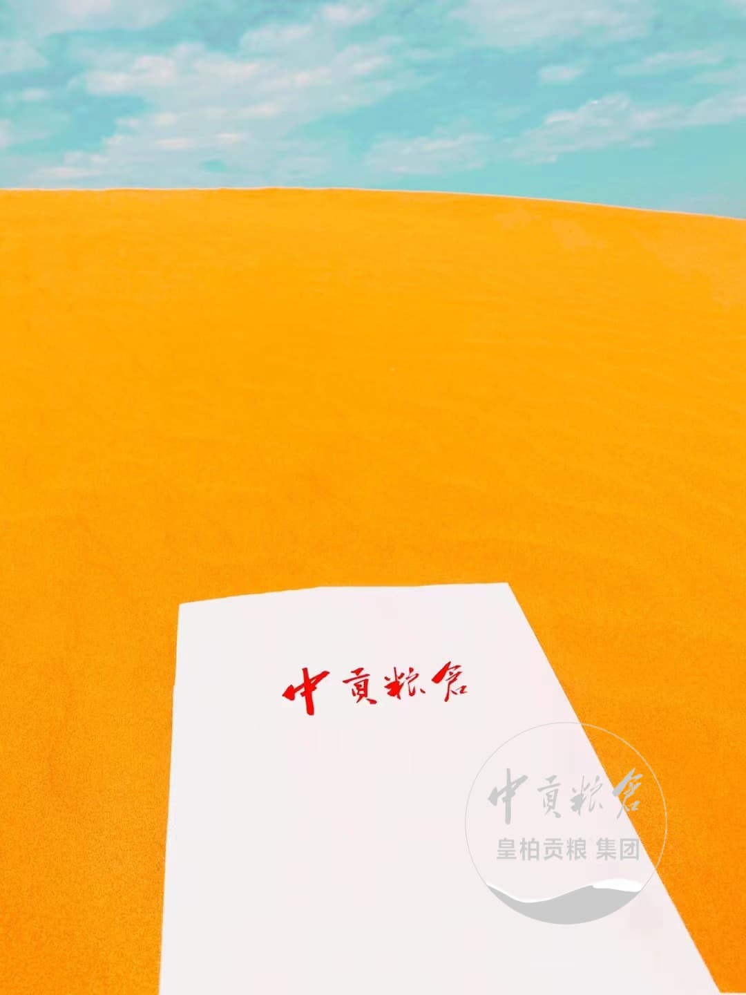 微信图片_202504131839252.jpg