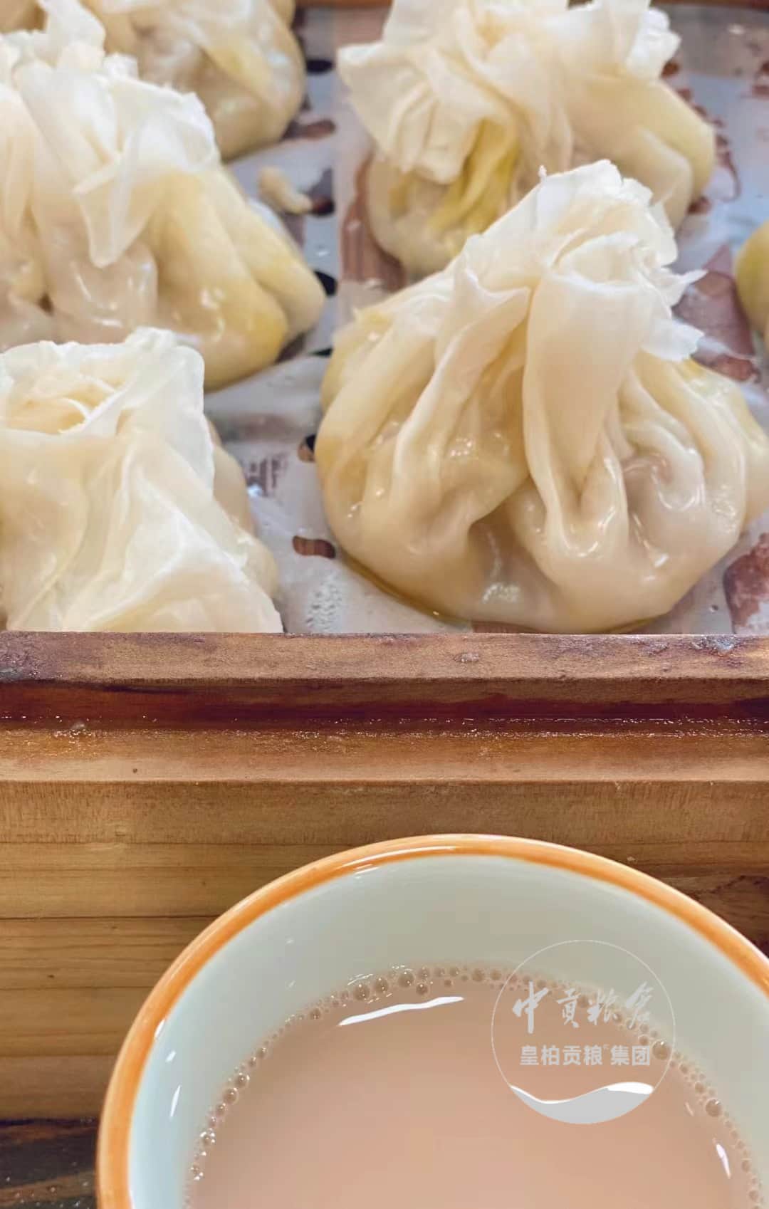 微信图片_202504131839161.jpg