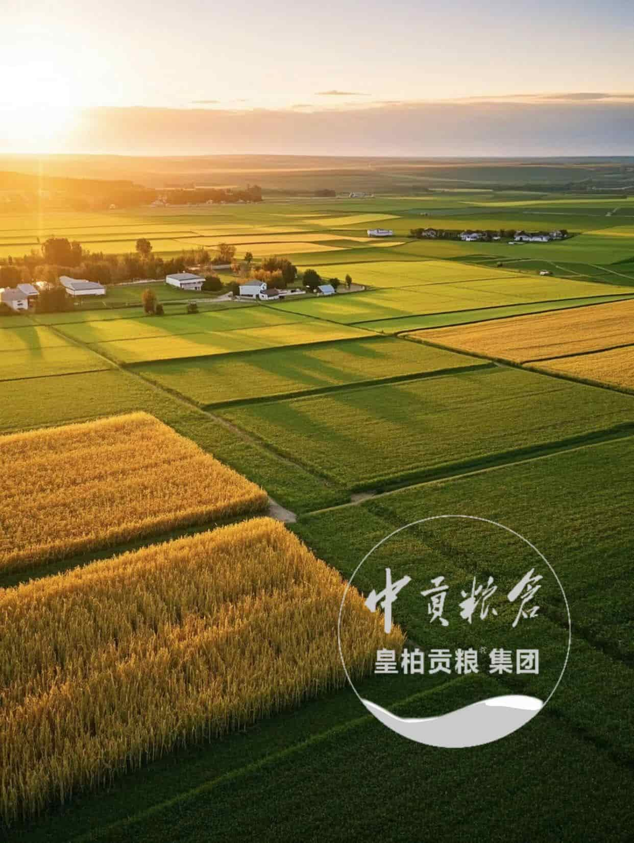 微信图片_202504132056431.jpg