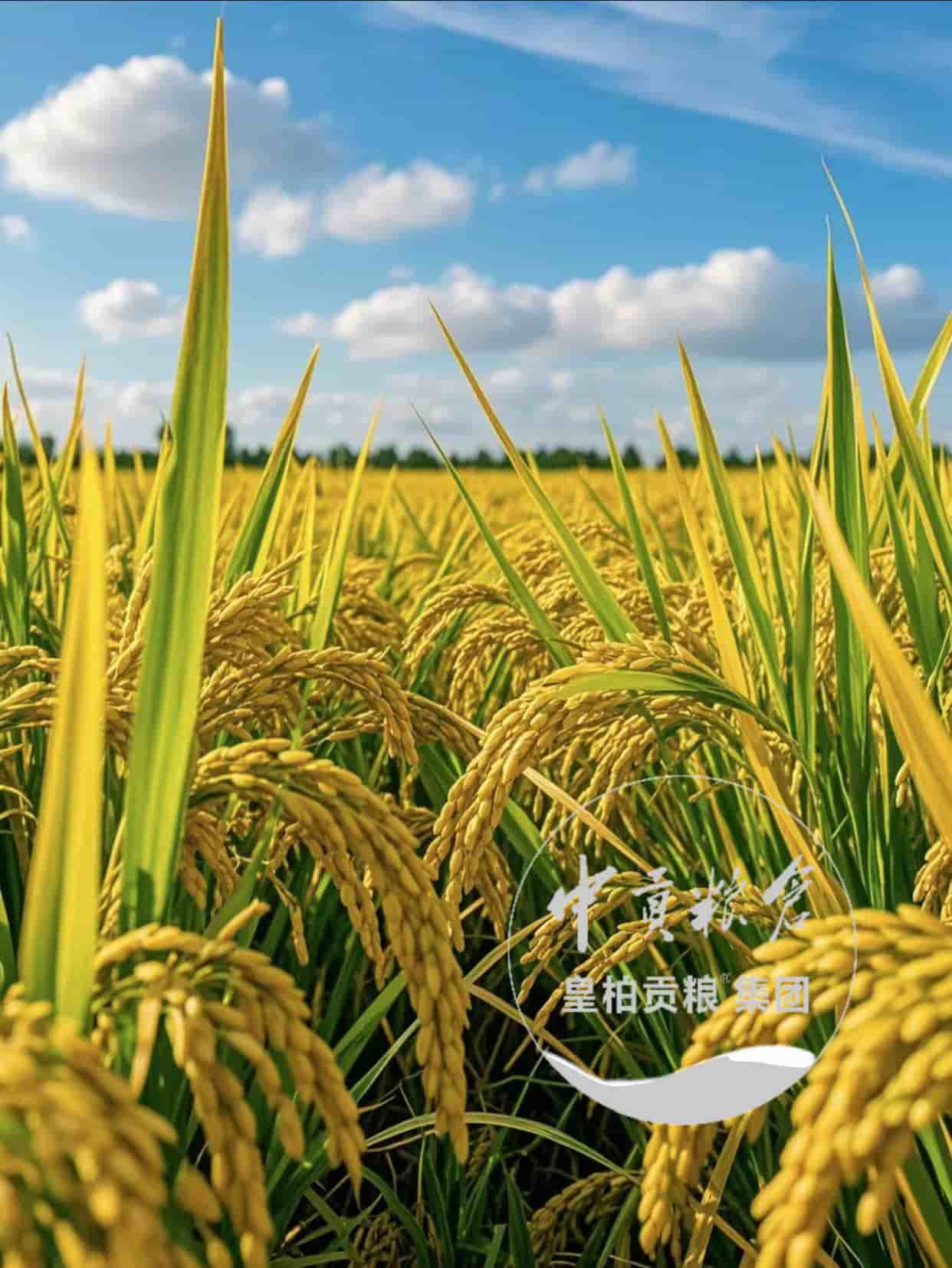 微信图片_202504132056422.jpg