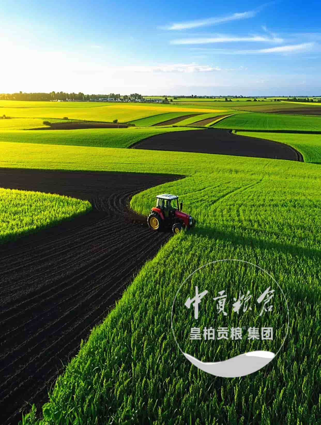 微信图片_202504132056432.jpg
