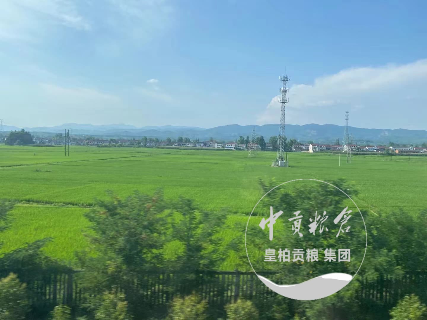 微信图片_202504132056363.jpg