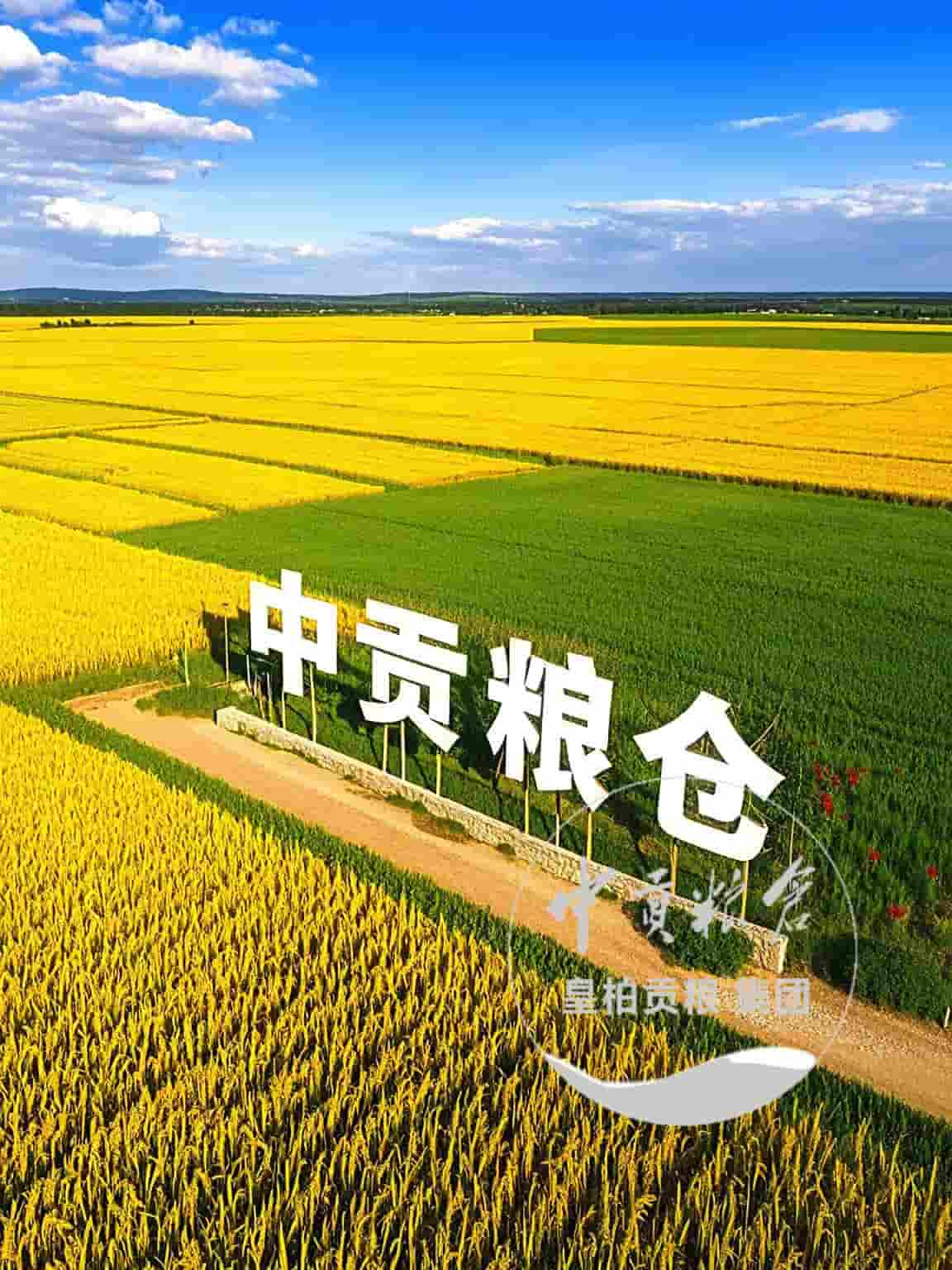 微信图片_202504132056423.jpg