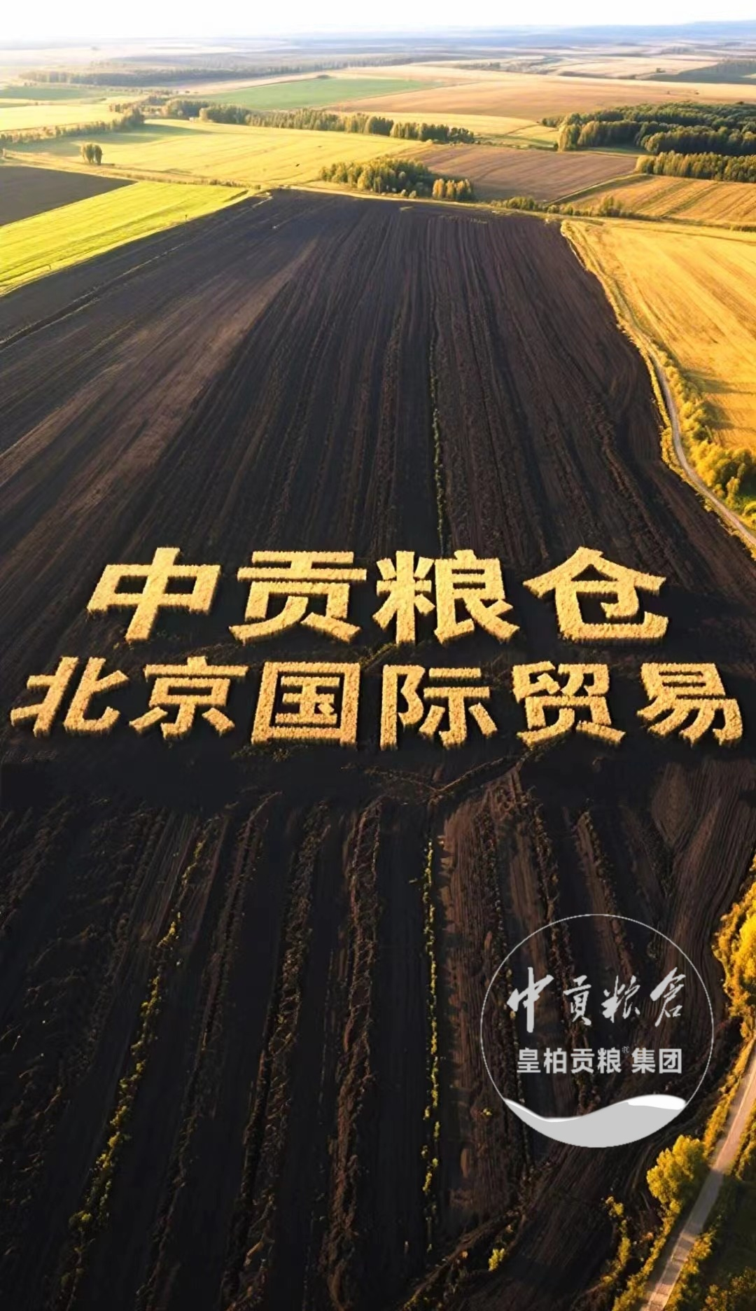 微信图片_5.jpg