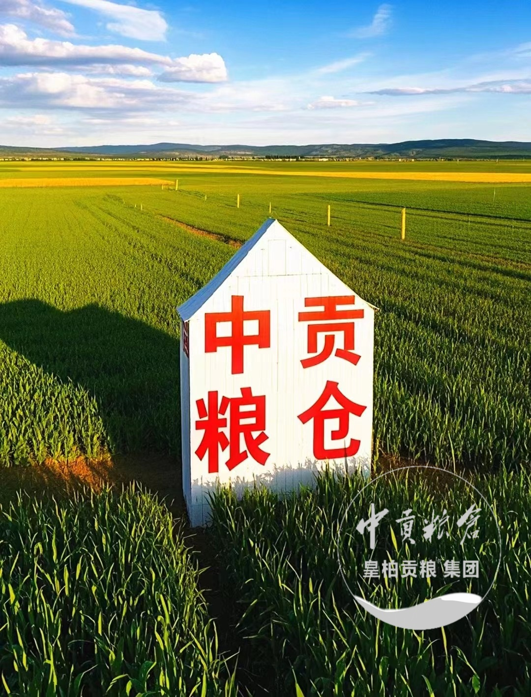 微信图片_11.jpg