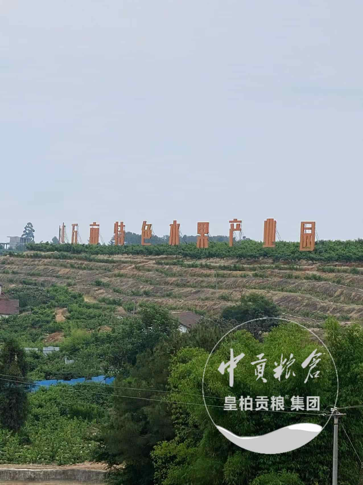 微信图片_202506271504473.jpg