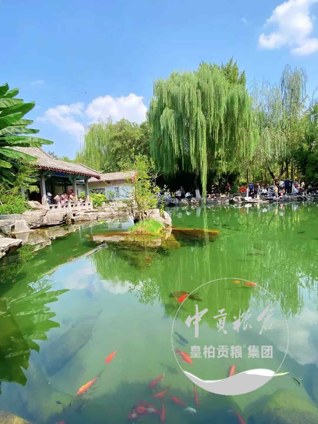 微信图片_202504131838161.jpg