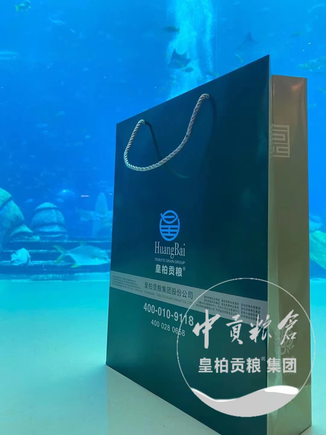 微信图片_202504132047512.jpg