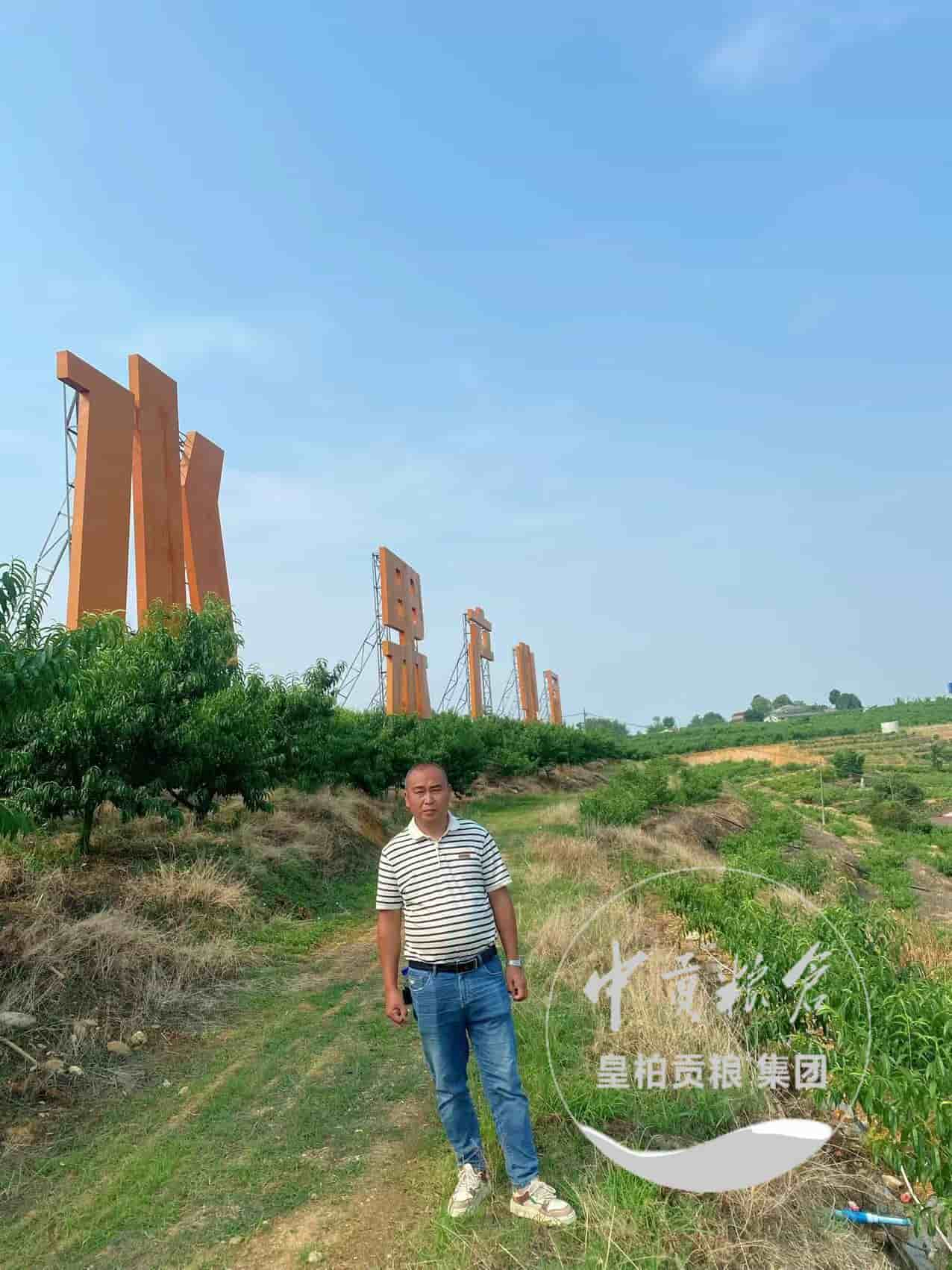 微信图片_202506271504472.jpg