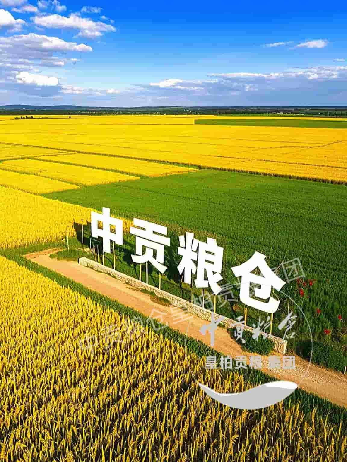 微信图片_202504132056423.jpg