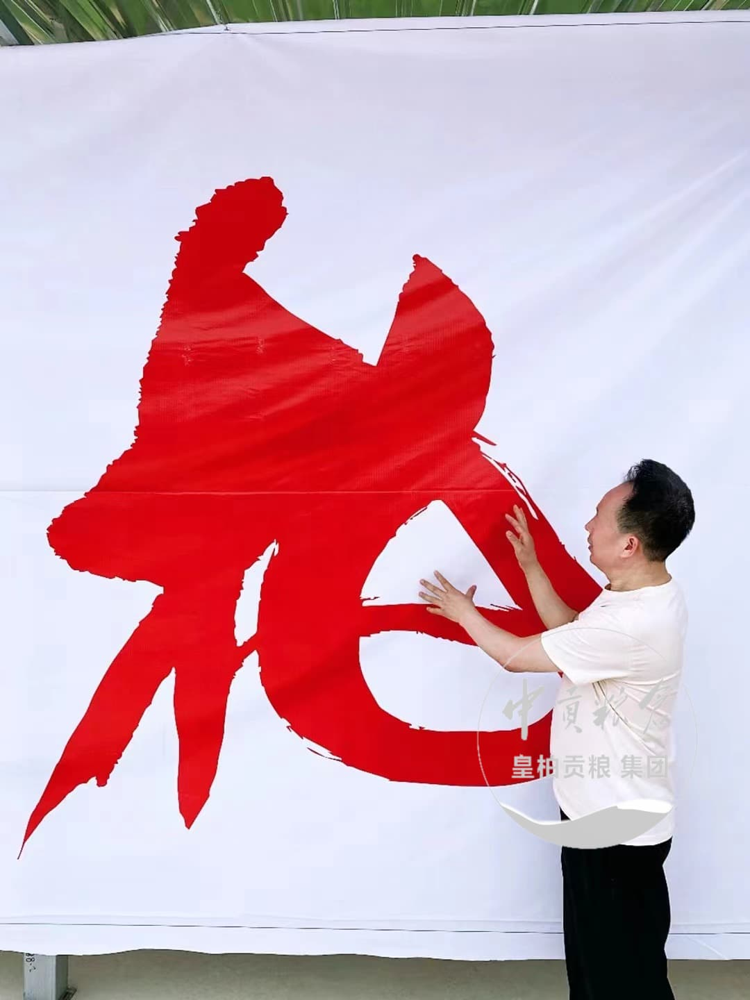 微信图片_20250723193339_269.jpg