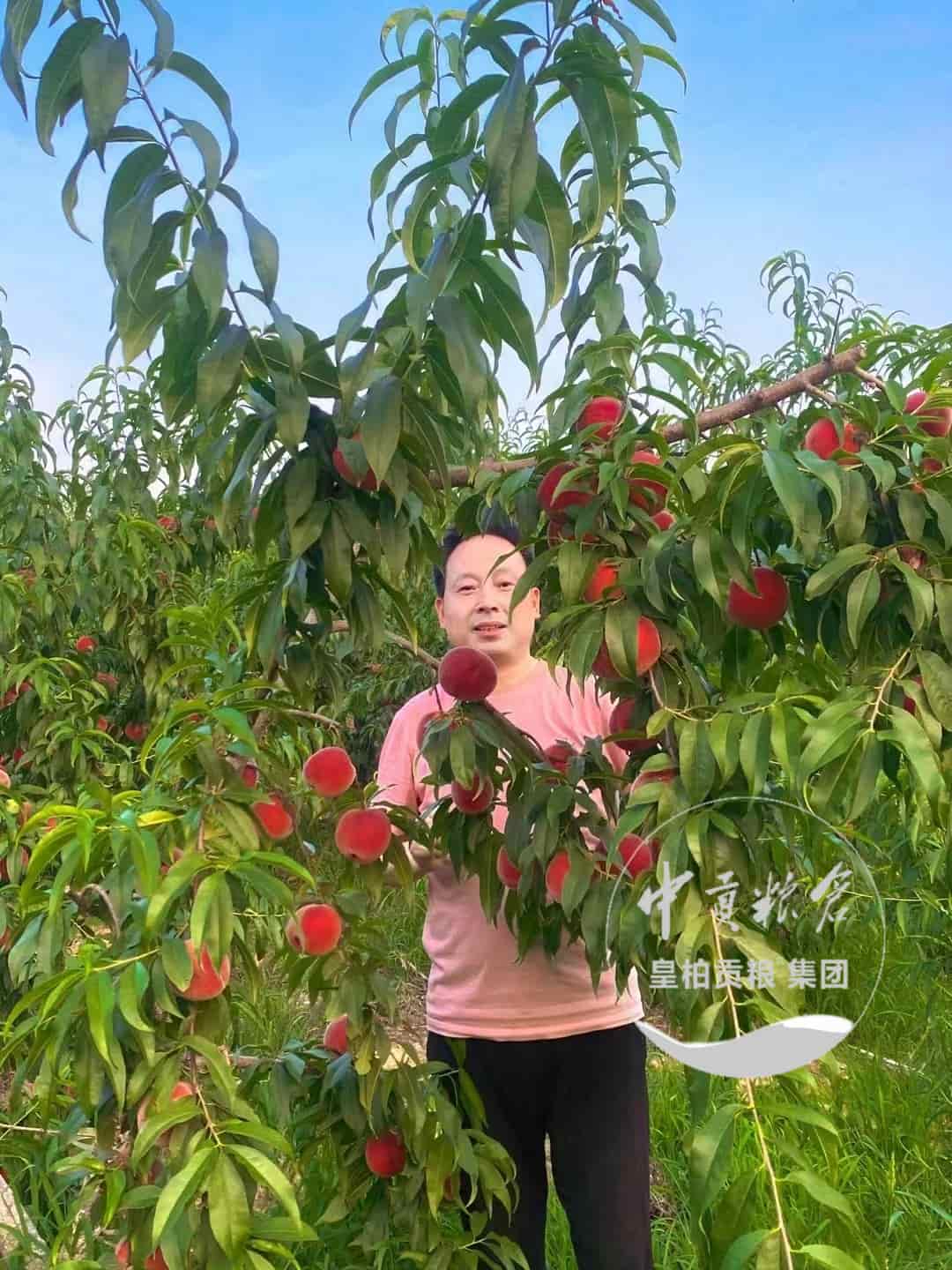 微信图片_20250723193339_267.jpg