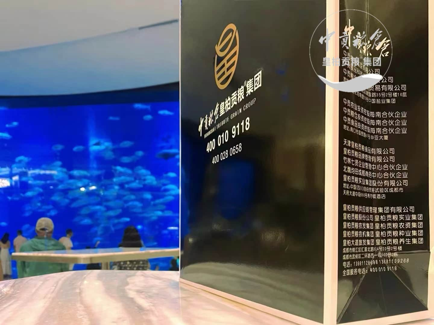 微信图片_202504132047483.jpg