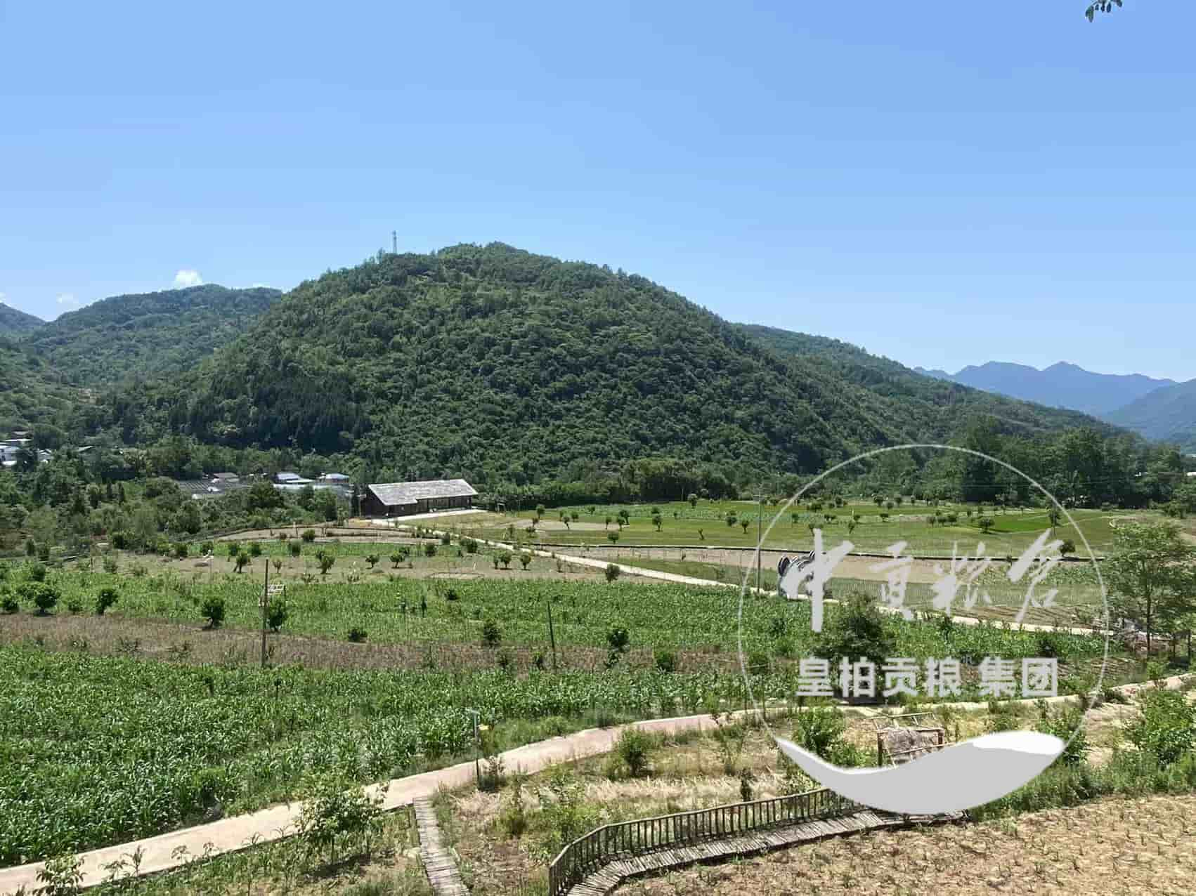 微信图片_20250725205314_296.jpg