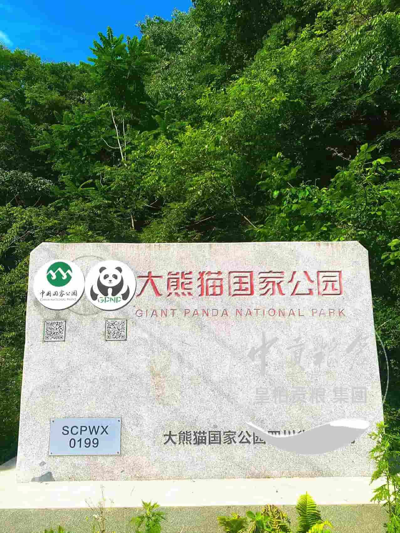 微信图片_20250725210120_304.jpg
