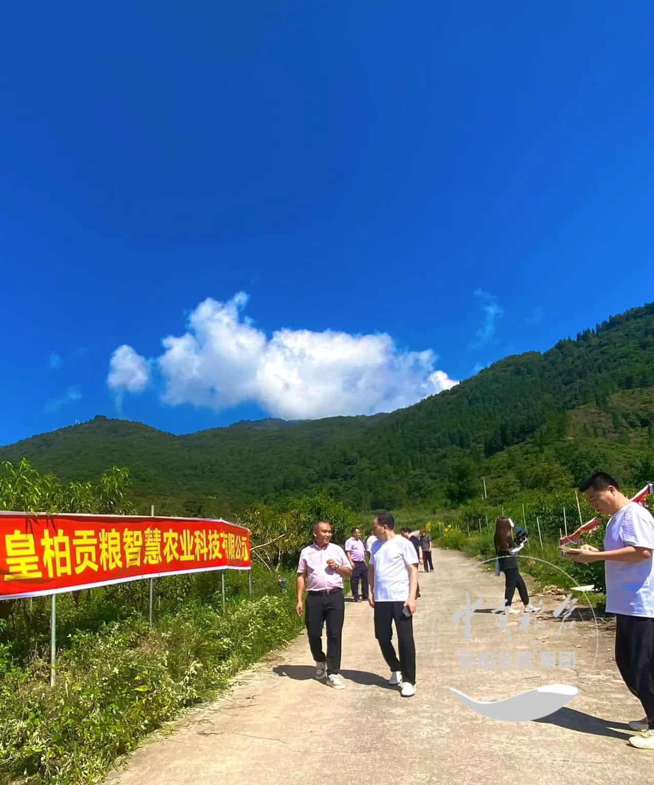 微信图片_20250731133908_314.jpg