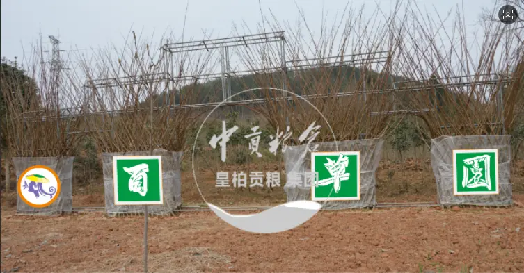 微信图片_20250802164145_333.webp