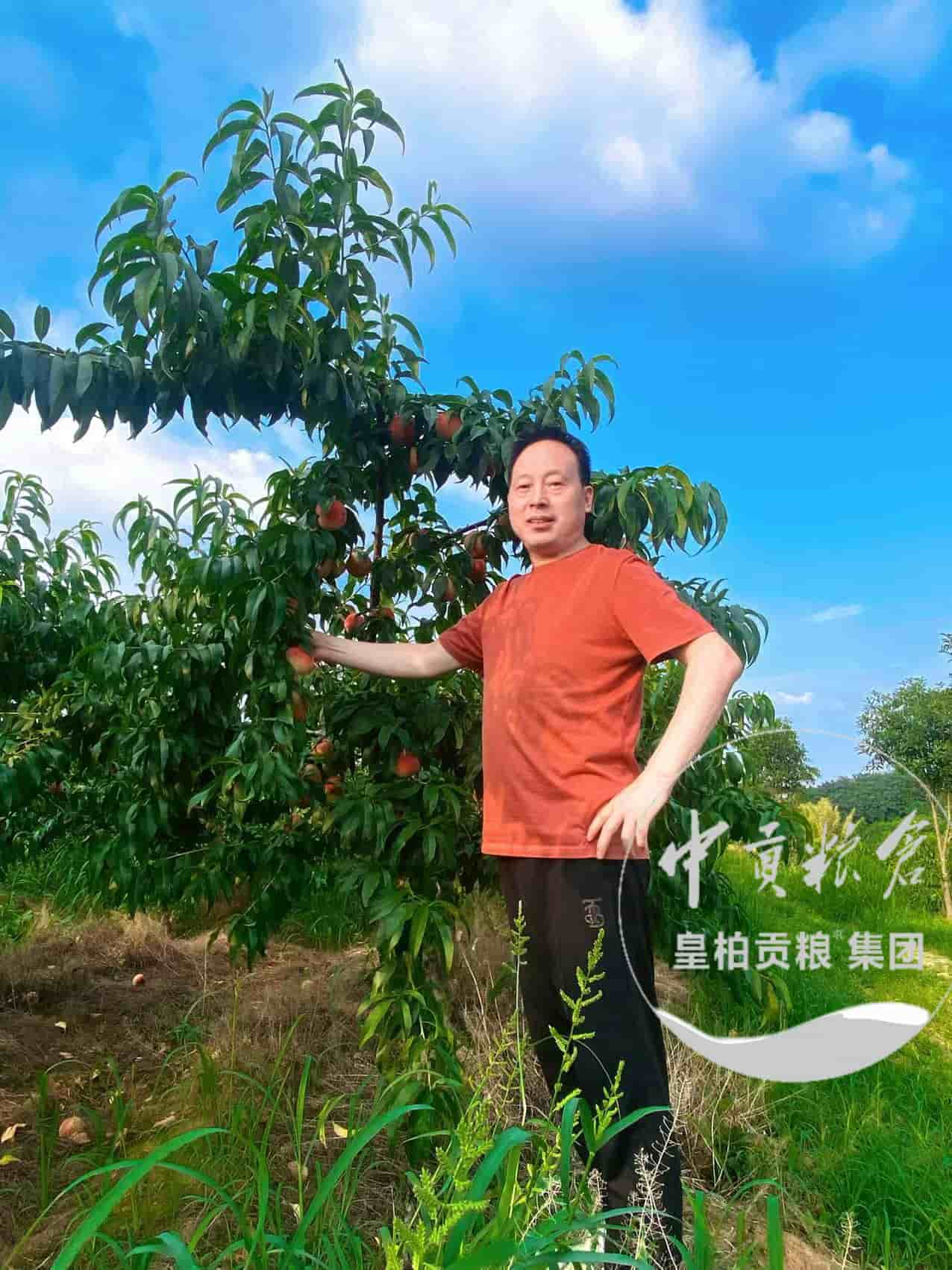 微信图片_20250803075505_366.jpg