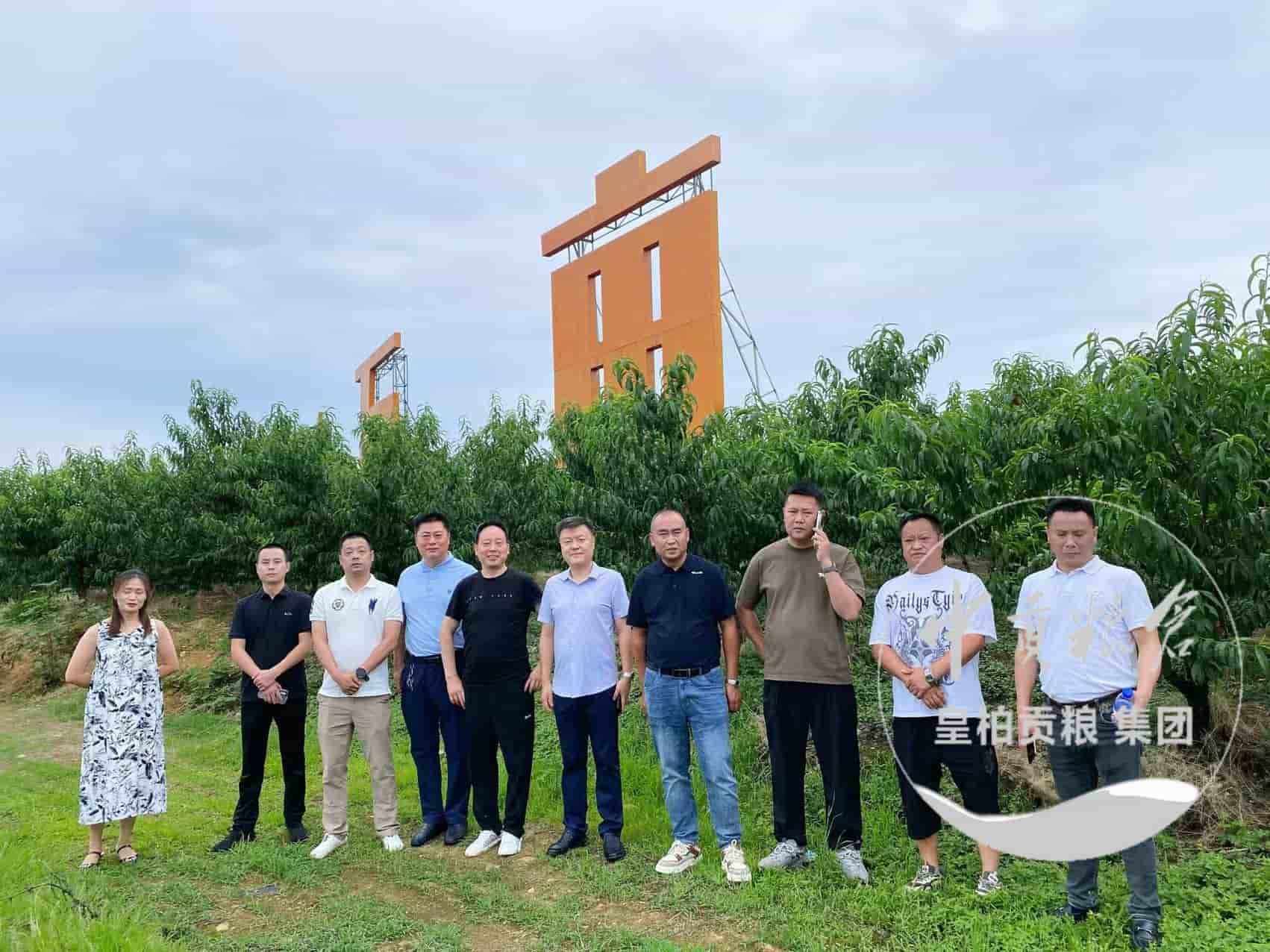微信图片_20250803075505_369.jpg