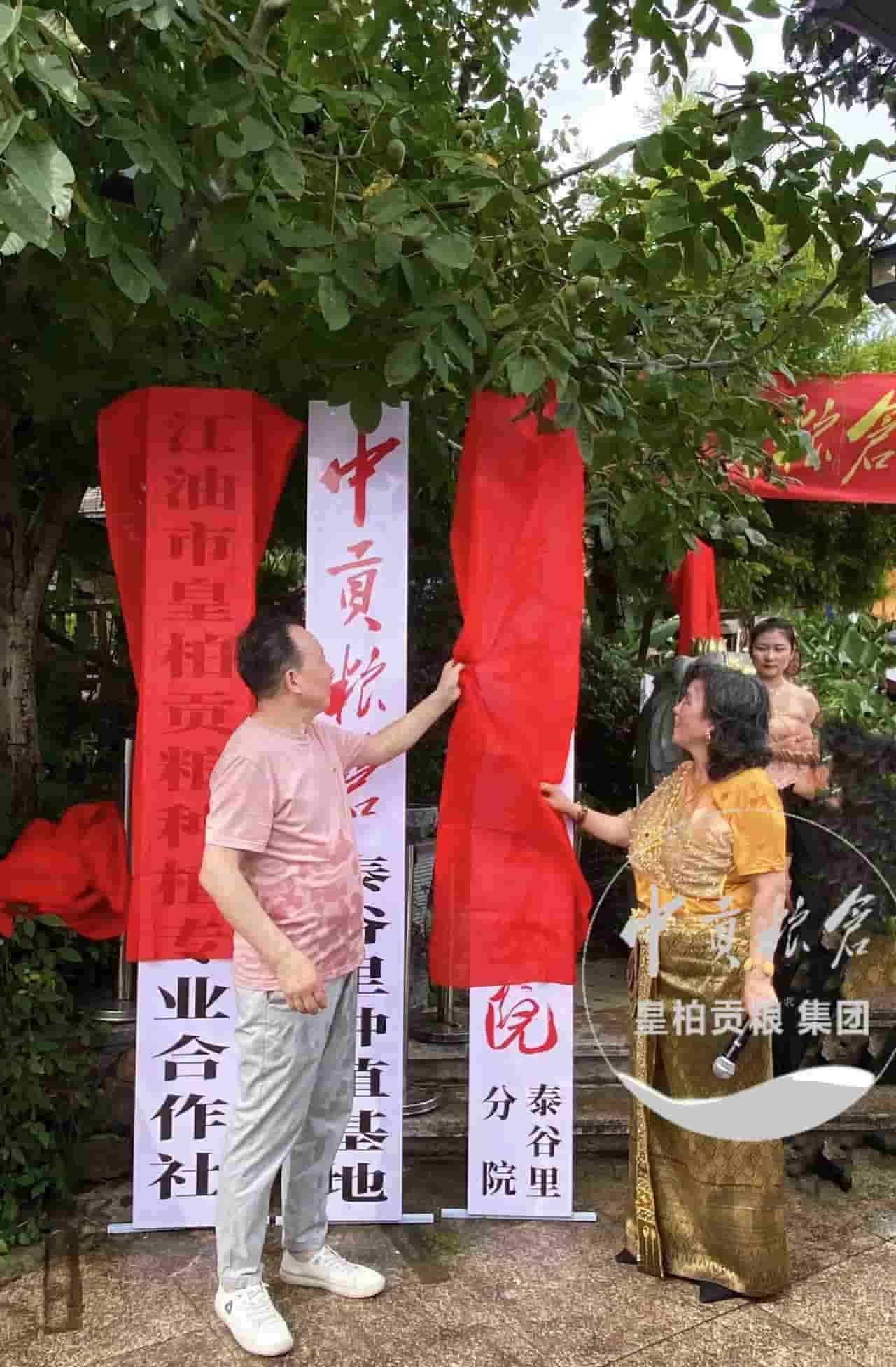 微信图片_20250803075504_384.jpg
