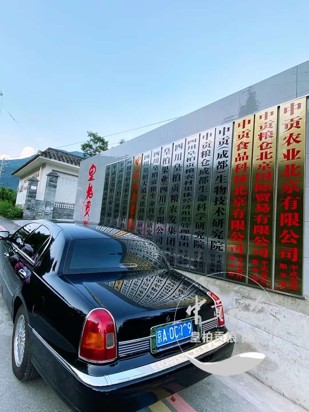微信图片_20250803102326_393.jpg