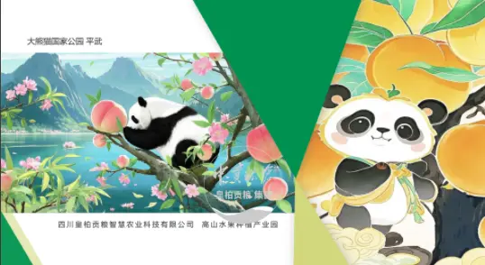 微信图片_20250803130700_421.webp