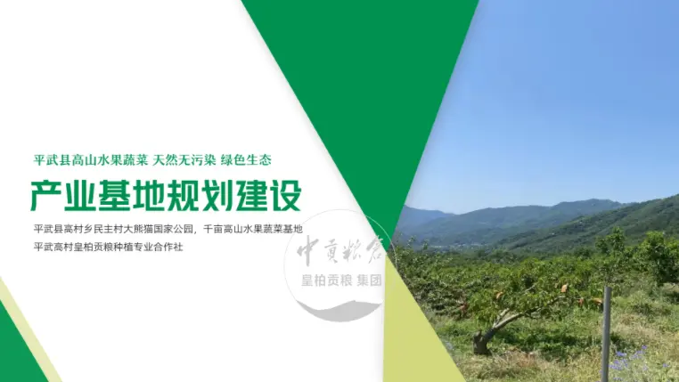 微信图片_20250803130700_422.webp