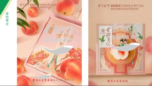 微信图片_20250803133352_435.webp
