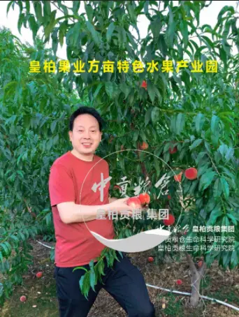微信图片_20250803151911_449.webp