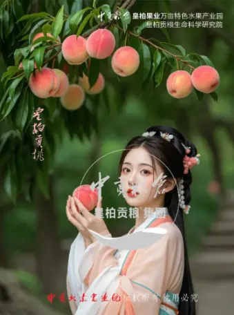 微信图片_20250803151911_442.webp